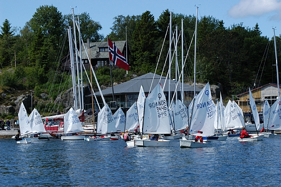 Pinseleir 2012