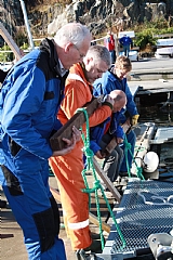 Dugnad l�rdag 29. okt. 2011