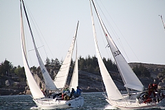 Vinterens f�rste seilkro
